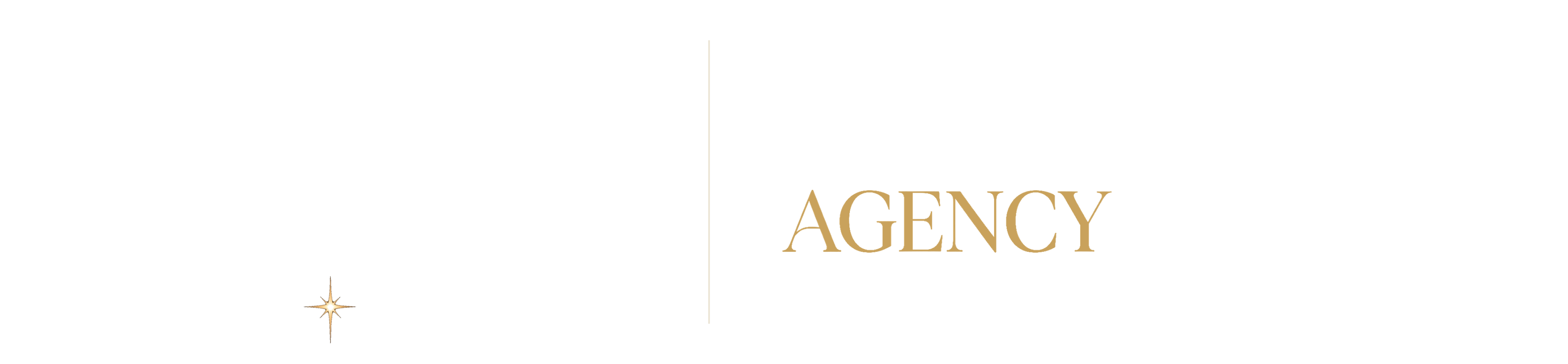 The AI Integration Agency